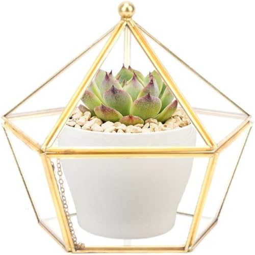 Transparentes fünfeckiges Undekaeder Glas Terrarium auch für Sukkulenten Golden von ZHZXBDGQ