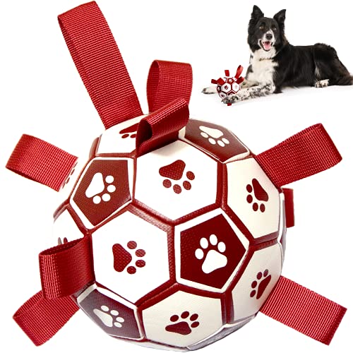 Hundespielzeug – Hundefußball mit Greif-Laschen für interaktives Spielen. Robuster Hundeball, Zerrspielzeug, Hunde Apportierball, Wurfspielzeug Hund schwimmend von ZIKKTA