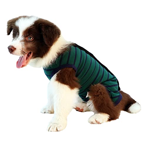 ZIMAOSHAN Hunde-Chirurgie-Anzug für Haustiere, Genesungsanzug, Bauchwundschutz, medizinische chirurgische Kleidung für Hunde (XXX-Large, Grün) von ZIMAOSHAN