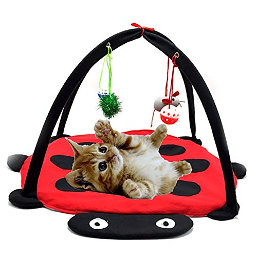 ZIME Kätzchen Live Bett Cat Activity Center mit Spielzeug zum Aufhängen Bälle, Mäuse & mehr - Hilft Katzen Bewegung & Stay Active von ZIME