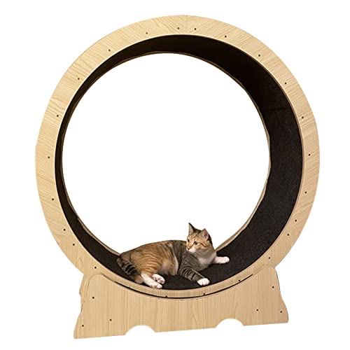 Katzenlaufrad Hochleistungs-Katzenlaufband für Hauskatzen, Silent Cat Laufradtrainer mit Holzmaserung, Katzenlaufradspielzeug für Große Ausgewachsene Katzen/Kätzchen ( Size : 100cm/39.4" ) von ZIMGOD