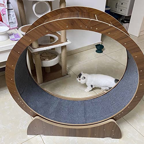 Katzenlaufrad Indoor-Laufband für Katzen, Laufrad-Übungsgerät für Braune Katzen, Hochleistungskatzen-Riesenrad, Stille Haustierkatzenradspielwaren, 80 90 100 110 cm (Size : 100cm/39.4") von ZIMGOD