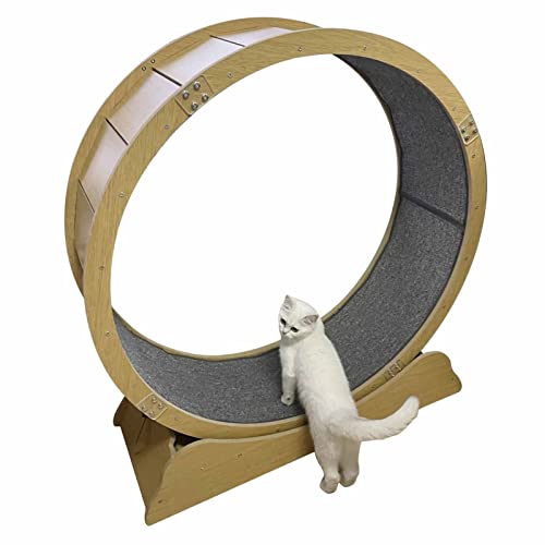 Katzenlaufrad Katzenlaufrad Indoor-Katzenlaufband, Leises Katzenlauf-Riesenrad für Kleine/Große Katzen, Kleines Lückenkatzen-Spinnradspielzeug, Katzenmöbel (Size : 100cm/39.4") von ZIMGOD