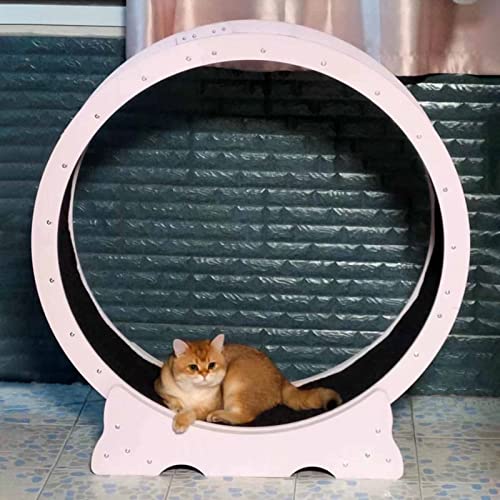 Katzenlaufrad Katzenradtrainer Weiß, Laufband für Katzen, zum Abnehmen von Katzen, Anti-Klemm-Katzenlaufrad mit Schloss & Teppichlaufbahn (Size : 100cm/39.4") von ZIMGOD