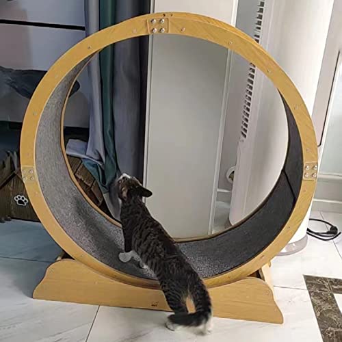 Katzenlaufrad Leises Katzenlaufrad für Wohnungskatzen, Katze Laufband Übung Laufrad, Anti-Pinch Kätzchen Spinnrad, Katzenspielzeug / Katzenmöbel ( Size : 100cm/39.4" ) von ZIMGOD