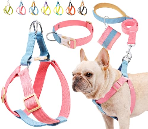 Hundegeschirr und Leine, kein Ziehen, Hundegeschirr mit Kotbeutelhalter, verstellbare, leichte Baumwollgurte, geeignet für kleine, mittelgroße und große Hunde, Outdoor-Spaziergänge, Laufen, Wandern Hundegeschirr und Leine, kein Ziehen, Hundegeschirr mit Kotbeutelhalter, verstellbare, leichte Baumwollgurte, geeignet für kleine, mittelgroße und große Hunde, Outdoor-Spaziergänge, Laufen, Wandern von ZIRVYIR