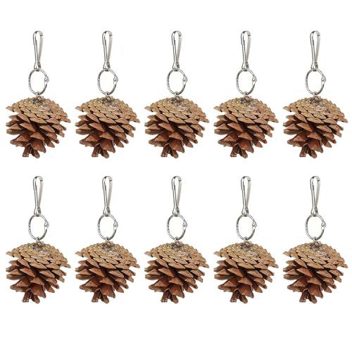 ZIRYXQ Papageienspielzeug, Vogelspielzeug aus Holz, Vogelspielzeug für Papageien, natürliche Tannenzapfen, Kauspielzeug, mittelgroßes Vogelspielzeug, Papageien-Zahnspielzeug, Vogelkäfig-Bissspielzeug, ZIRYXQ Papageienspielzeug, Vogelspielzeug aus Holz, Vogelspielzeug für Papageien, natürliche Tannenzapfen, Kauspielzeug, mittelgroßes Vogelspielzeug, Papageien-Zahnspielzeug, Vogelkäfig-Bissspielzeug, von ZIRYXQ