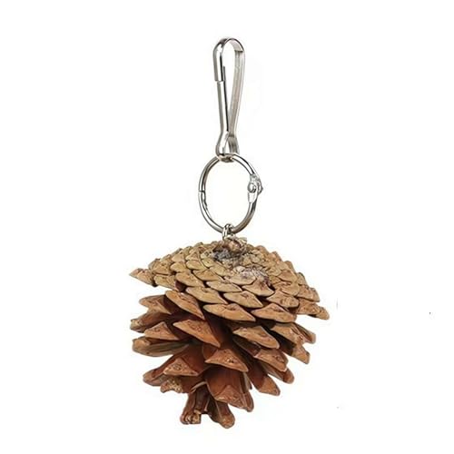 ZIRYXQ Papageienspielzeug, Vogelspielzeug aus Holz, Vogelspielzeug für Papageien, natürliche Tannenzapfen, Kauspielzeug, mittelgroßes Vogelspielzeug, Papageien-Zahnspielzeug, Vogelkäfig-Bissspielzeug, ZIRYXQ Papageienspielzeug, Vogelspielzeug aus Holz, Vogelspielzeug für Papageien, natürliche Tannenzapfen, Kauspielzeug, mittelgroßes Vogelspielzeug, Papageien-Zahnspielzeug, Vogelkäfig-Bissspielzeug, von ZIRYXQ