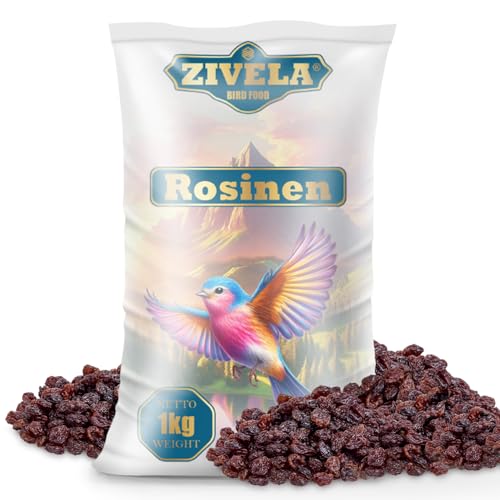 1kg Natürliche Rosinen für Vögel - Ideale Leckereien für Ihre gefiederten Freunde - 100% natürlich Futterrosinen | Rosinen für Vögel 1kg | Wildvogelfutter | Ganzjahresfutter energiereich 1kg Natürliche Rosinen für Vögel - Ideale Leckereien für Ihre gefiederten Freunde - 100% natürlich Futterrosinen | Rosinen für Vögel 1kg | Wildvogelfutter | Ganzjahresfutter energiereich von ZIVELA