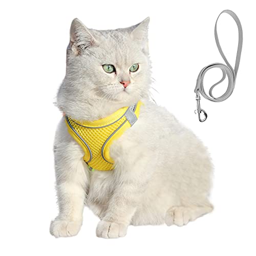 ZIVUYTAQ Katzengeschirr mit Leine, Set, kein Ziehen, Weste, verstellbar, atmungsaktiv, Mesh für Welpen, kleine, mittelgroße Hunde und Katzen (1003-02-M) von ZIVUYTAQ