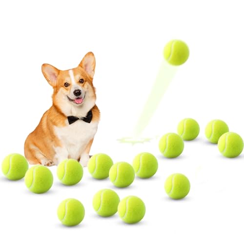 ZIYIZE Mini-Tennisbälle, 15 Stück, 5,1 cm, Hunde-Tennisbälle, leicht zu fangen, für 5,1 cm Hundeballwerfer ZIYIZE Mini-Tennisbälle, 15 Stück, 5,1 cm, Hunde-Tennisbälle, leicht zu fangen, für 5,1 cm Hundeballwerfer von ZIYIZE
