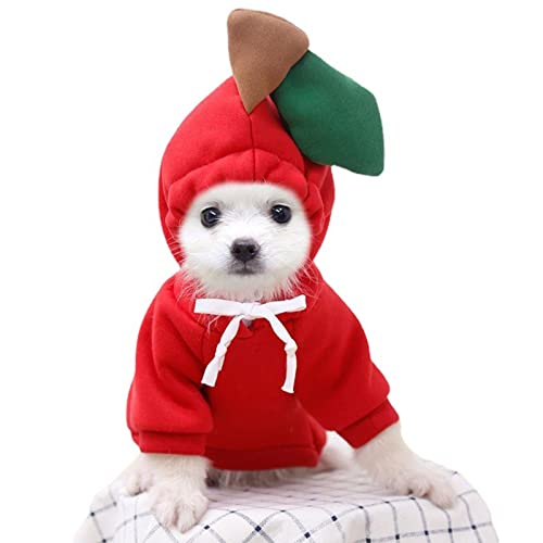 Niedliches Weihnachtskostüm für kleine Hunde,Hunde-Hoodie,hundepullover,Gemütliche Hundeweihnachtsjacke,Hunde Kleidung,Warmer Mantel für Katzen,Chihuahua Welpe Teddy Pudel(rot, XS(1-2kg)) von ZIYUEZIKUN