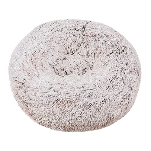 Hundebett Runde Plüsch Hund Bett for kleine mittelgroße Hundekatze Haus Haustier Betten Winter Warme Hunde Matte Sofa Weiche Schlafwelpen Nest Hunde Zubehör (Color : Gradual Change, Size : 60cm) von ZJCNHY