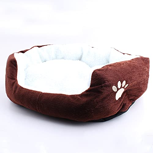 Hundebett Weiche Haustier Hundest Welpen Katze Bett Fleece Warme Haus Kennel Plüsch Matte 4 Farben Pet Products Kleines Hundebett (Color : Coffee, Size : 60x50cm) von ZJCNHY