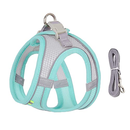 Hundegeschirr Hundegeschirr-Leine-Set for kleine Hunde, verstellbar, Welpen-Katzengeschirr, Weste, französische Bulldogge, Chihuahua, Mops, Outdoor-Laufleine (Color : Cyan, Size : L 7-11 kg) von ZJCNHY