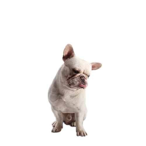 Hunde-Regenmäntel für Mittelgroße Hunde, Hunde-Regenmäntel für Kleine Hunde, Große Hunde, Haustier-Hunde-Regenmantel, Hunde-Regenmantel für den Heimgebrauch (rosarot 5XL) von ZJchao