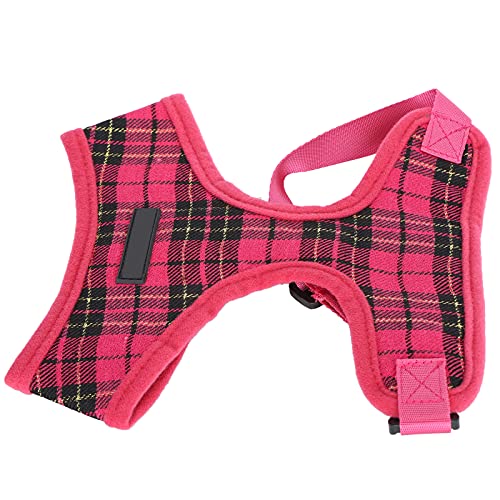 Hundegurt, Katzenkabelbaum und Leine Welpe Leine Weiche Mesh Weste Mesh Hundekabelbaum Atmungsaktivem Hundekabelbaum für Kleine Mittelgroße Große Hunde, Katzen, Welpen, Kätzchen Kätzchen (M) von ZJchao