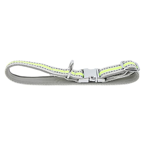 Hundehalsbänder für Kleine Hunde, Welpenkragen Reflektierende Hundehalsband Weiche Atmungsaktive Nylon -Haustierkragen Verstellbare Sicherheit Nylonkragen mit Schnalle für Kleine Mittelgroßen Großen Hundehalsbänder für Kleine Hunde, Welpenkragen Reflektierende Hundehalsband Weiche Atmungsaktive Nylon -Haustierkragen Verstellbare Sicherheit Nylonkragen mit Schnalle für Kleine Mittelgroßen Großen von ZJchao