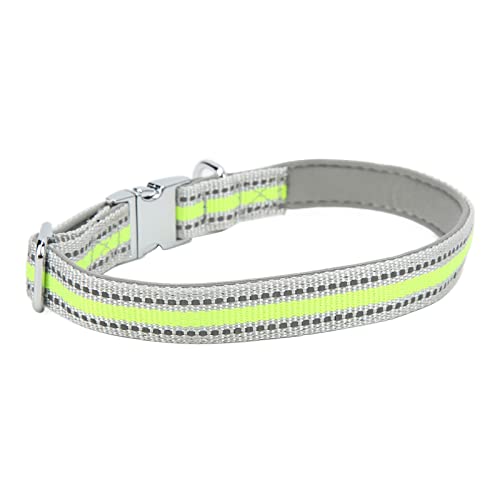 Hundehalsbänder für Kleine Hunde, Welpenkragen Reflektierende Hundehalsband Weiche Atmungsaktive Nylon -Haustierkragen Verstellbare Sicherheit Nylonkragen mit Schnalle für Kleine Mittelgroßen Großen von ZJchao