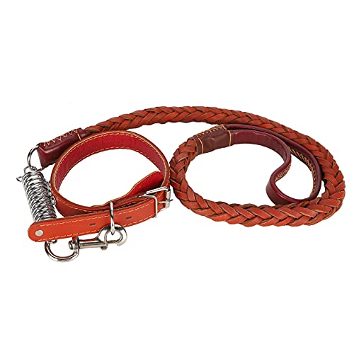 Hundehalsband und Leine Set, Hunde Walking Leinen Hundekabelbaum Haustier Leinenkragen mit Kragenpapierkragen und Leinen für Kleine Mittlere Große Hunde (Brown) von ZJchao