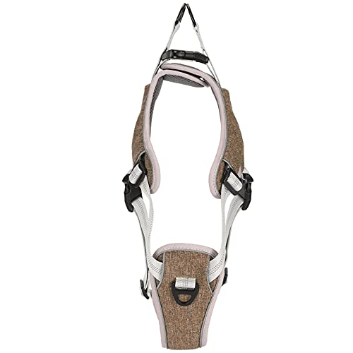 Hundekabelbaum Mittelgroßer Hund, Reflektierender Hundekabelbaum Hunde Weste Pet Petable Weste Outdoor Hundeweste Kabelbaum für Kleine, Mittlere Große Hunde, Katzen (S) von ZJchao