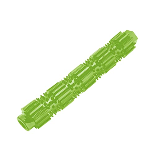 Hundeknochen Spielzeug, Hundemandtspielzeug für Aggressive Kauen -Hundezähne Reinigung Spielzeug Unzerstörbarer Hund Zahnbürste Stick Bone Hunde -Kinderspielzeug für Kleine Mittlere Große Hund (GREEN) Hundeknochen Spielzeug, Hundemandtspielzeug für Aggressive Kauen -Hundezähne Reinigung Spielzeug Unzerstörbarer Hund Zahnbürste Stick Bone Hunde -Kinderspielzeug für Kleine Mittlere Große Hund (GREEN) von ZJchao