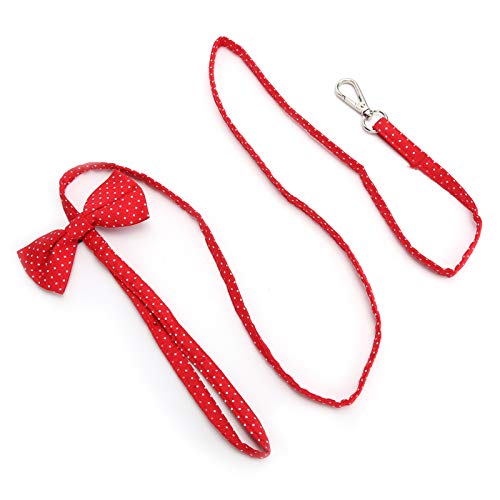 Hundeleine, Hundekragen Seilkatze Training Leine Slas -Leads für Hunde Im Freien Baumwoll -Leine Gehen mit Haken Zum Campen oder Garten Hundeleine, Hundekragen Seilkatze Training Leine Slas -Leads für Hunde Im Freien Baumwoll -Leine Gehen mit Haken Zum Campen oder Garten von ZJchao
