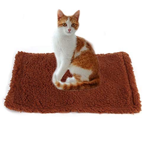 Katzenkratzmatte, Horizontaler Katzenboden Kratzpolster Teppich Katzenkratzer Kratzer Spielzeug Teppich Katzenkratzer für Innenkatzen Mahlen Klauen Nägel, 18.50 X 122.20x1.18inch (Brown) von ZJchao