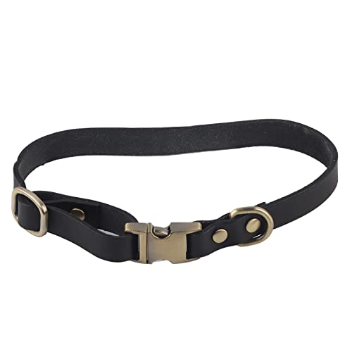 Lederhundkragen für Kleine Hunde, Schnellfreisetzung Hundekragen Weiche Hundehalskragen Weiche, Atmungsaktive Gepolsterte Leder -Haustierkragen mit Gravierter Schnalle für Kleine Mittelgroße Große (L) von ZJchao