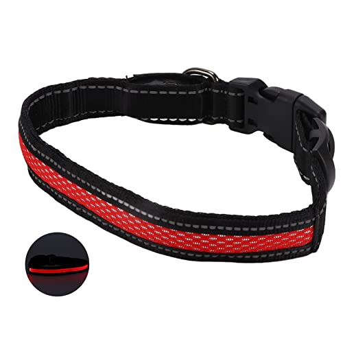 Leuchtendes Katzenhalsband, Im Dunkeln Leuchtendes Hundehalsband, LED-Hundehalsband, LED-Hundehalsband, Leuchtendes Hundehalsband mit Reflektierenden Streifen für Katzen, Kleine, Leuchtendes Katzenhalsband, Im Dunkeln Leuchtendes Hundehalsband, LED-Hundehalsband, LED-Hundehalsband, Leuchtendes Hundehalsband mit Reflektierenden Streifen für Katzen, Kleine, von ZJchao