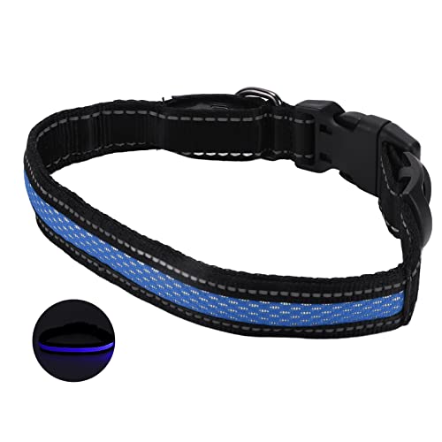 Leuchtendes Katzenhalsband, Im Dunkeln Leuchtendes Hundehalsband, LED-Hundehalsband, LED-Hundehalsband, Leuchtendes Hundehalsband mit Reflektierenden Streifen für Katzen, Kleine, Leuchtendes Katzenhalsband, Im Dunkeln Leuchtendes Hundehalsband, LED-Hundehalsband, LED-Hundehalsband, Leuchtendes Hundehalsband mit Reflektierenden Streifen für Katzen, Kleine, von ZJchao