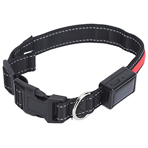 Lichthundkragen, Leuchten Im Dunklen Hundehalsband Hundekragen für Kleine Hunde USB Wiederaufladbare LED Hundekragen Verstellbar Beleuchtetes Sicherheitskragen für Nächtliche Gehen Camping (L) von ZJchao