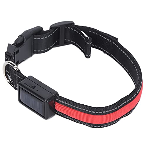 Lichthundkragen, USB Wiederaufladbare LED -Hundekragen Im Dunklen Hundekragen Verstellbar Beleuchtetes Sicherheitskragen für Nächtliche Gehen Camping (S) von ZJchao