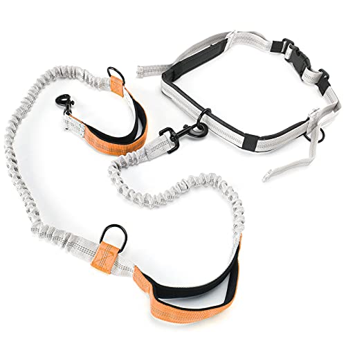 Taille Leine für Hunde Walking, Taille Leine Hunde Taillengürtel Schock Absorbierende Bungee Dual Griff Running Reflektierende Wanderleine mit Taillengürtel für Kleine Bis Große (Yellow) von ZJchao