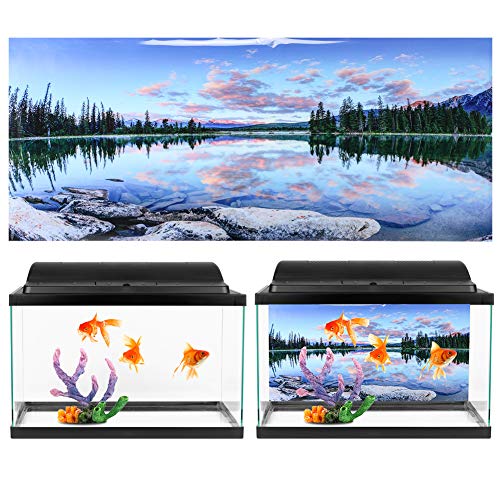 ZJchao Aquariumhintergrund, Terrarium Hintergrund Aquariumdekor PVC Aufkleber Landschaft Bild Hintergrund für Dekorative Malerei für Aquarium Fischbox (61 * 30CM) von ZJchao