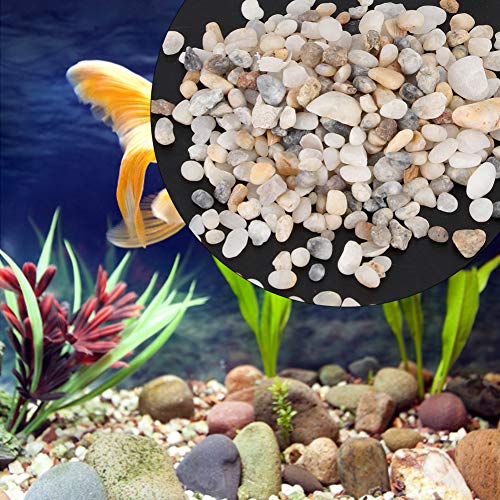 ZJchao Aquariumsubstrat für Lebende Pflanzen, Dekorative Polierte Steine Aquariumkies River Gestein Aquariumsubstrat für Vasen, Aquarien, Terrarium und Gartenarbeit Im Freien ZJchao Aquariumsubstrat für Lebende Pflanzen, Dekorative Polierte Steine Aquariumkies River Gestein Aquariumsubstrat für Vasen, Aquarien, Terrarium und Gartenarbeit Im Freien von ZJchao