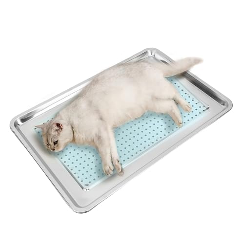 ZJchao Edelstahl -Haustierkühlschale mit Lüftungslöchern Atmungsaktives Netzdesign für Hunde Katzen 60 X 40 cm Abgerundete Kanten Hochglanz -Finish -Eisbeutel Kompatible Wärmeabteilung von ZJchao
