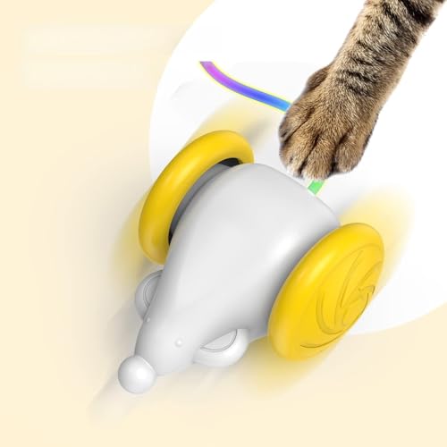 Interaktives Katzenspielzeug, Automatisches Kätzchenspielzeug mit LED-Lichtern für Hauskatzen (Blue) von ZJchao