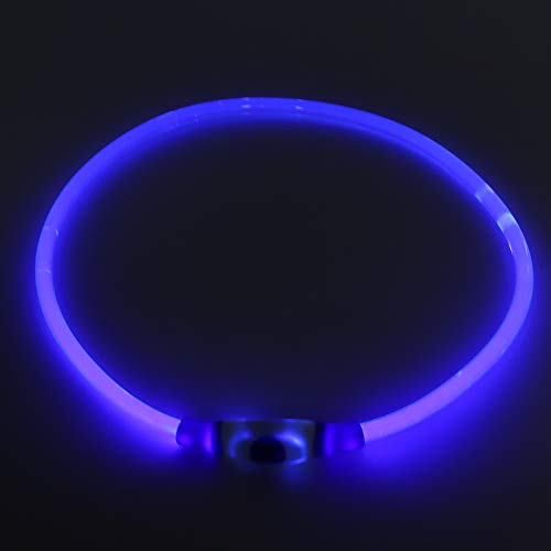 ZJchao LED Hundekragen Wiederaufladbar, Leuchtend Im Dunklen Hundekragen LED Luminous Lighting Hals Light Up mit USB -Ladungskabel für Große Mittelgroße Hunde, Blau (L) von ZJchao