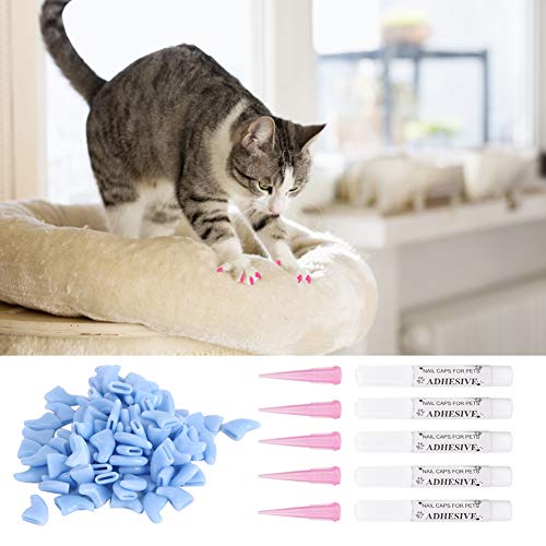 ZJchao Pet Cat Nagelabdeckung 100pcs Haltbar Weiche PVC-Pfotenklauenverpackung, Schutzmöbel, und Menschen, XS-L-Größen, Rosenrot, Himmelblau, Pflegezubehör für Katzen mit ... (M) von ZJchao
