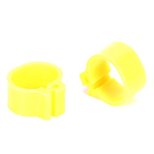 ZJchao Wachtelbänder, 200pcs 10 -mm -Tauben ohne Wort Bein Geflügel Fuß Clamp/Holder Identifikation Vögel Lieferungen mit 0,4 X 0,3 Zoll Geflügelbanden Tauben für die Meisten Erwachsenen Vögel von ZJchao