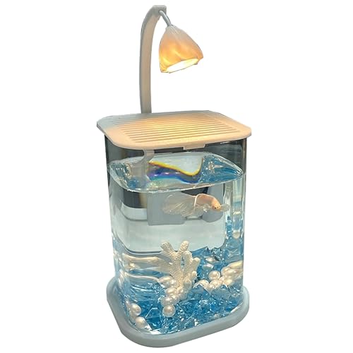 Aquarium Klein mit LED-Licht – 24 cm Randloses Aquarium, Nachtlicht für den Schreibtisch mit Abdeckung, Verdicktes Aquariums Zubehör für Zuhause/Büro(Blue) von ZKBDBWTR