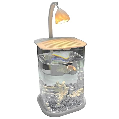 Aquarium Klein mit LED-Licht – 24 cm Randloses Aquarium, Nachtlicht für den Schreibtisch mit Abdeckung, Verdicktes Aquariums Zubehör für Zuhause/Büro(Clear) von ZKBDBWTR