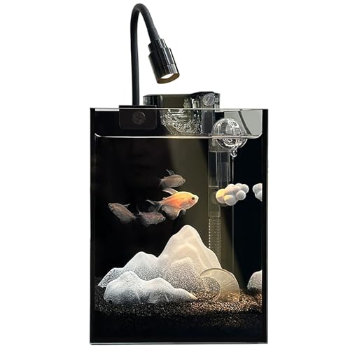 Aquarium Komplettset, Randloses Kleines Glas-Aquarium mit Filter, Aquarium-Licht und Aquascaping-Dekorationen, Sauerstoff Aquariums für Büro(Black,20x20x25cm/7.8x7.8x9.8in) von ZKBDBWTR