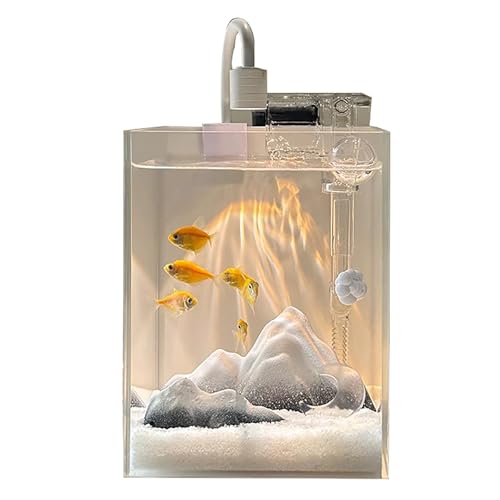 Aquarium Komplettset, Randloses Kleines Glas-Aquarium mit Filter, Aquarium-Licht und Aquascaping-Dekorationen, Sauerstoff Aquariums für Büro(White,25x16x18cm/9.8x6.2x7.0in) von ZKBDBWTR
