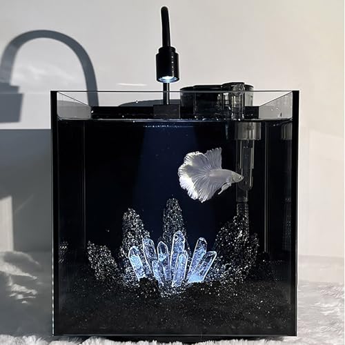 Dark Crystal Betta-Aquarium – Ultraklares Aquarium mit schwarzer Rückseite und geräuschlosem Filter, Desktop-Bettas-Aquariums für Betta, Goldfische, Garnelen(20x20x20cm/7.8x7.8x7.8in) von ZKBDBWTR