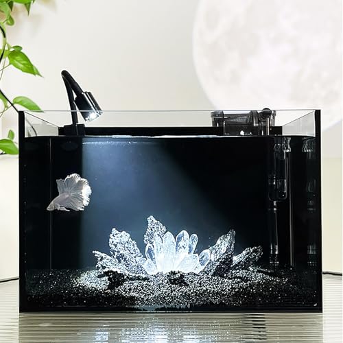 Dark Crystal Betta-Aquarium – Ultraklares Aquarium mit schwarzer Rückseite und geräuschlosem Filter, Desktop-Bettas-Aquariums für Betta, Goldfische, Garnelen(20x20x25cm/7.8x7.8x9.8in) von ZKBDBWTR