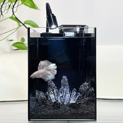 Dark Crystal Betta-Aquarium – Ultraklares Aquarium mit schwarzer Rückseite und geräuschlosem Filter, Desktop-Bettas-Aquariums für Betta, Goldfische, Garnelen(30x18x20cm/11.8x7.0x7.8in) von ZKBDBWTR
