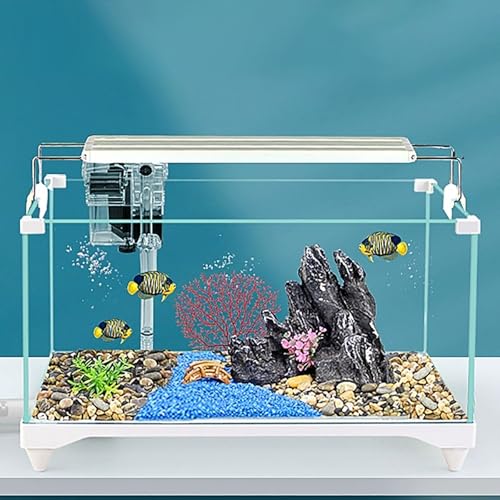 Dekoratives Glas-Aquarium mit ökologischer Landschaftsgestaltung – Ultraklares Tischaquarium für Zuhause, Büro – Goldfischglas mit Bodenablauf und LED-Licht(50cm/19.6in) von ZKBDBWTR