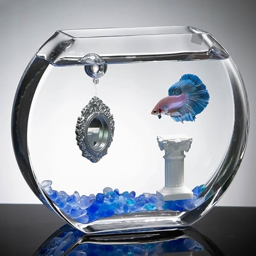 Kristallklares Glas Betta-Fischtank, stilvolles Desktop-Aquarium für Betta-Fische, Goldfisch-Aquarium, elegante Dekoration, Geschenk (blau) von ZKBDBWTR